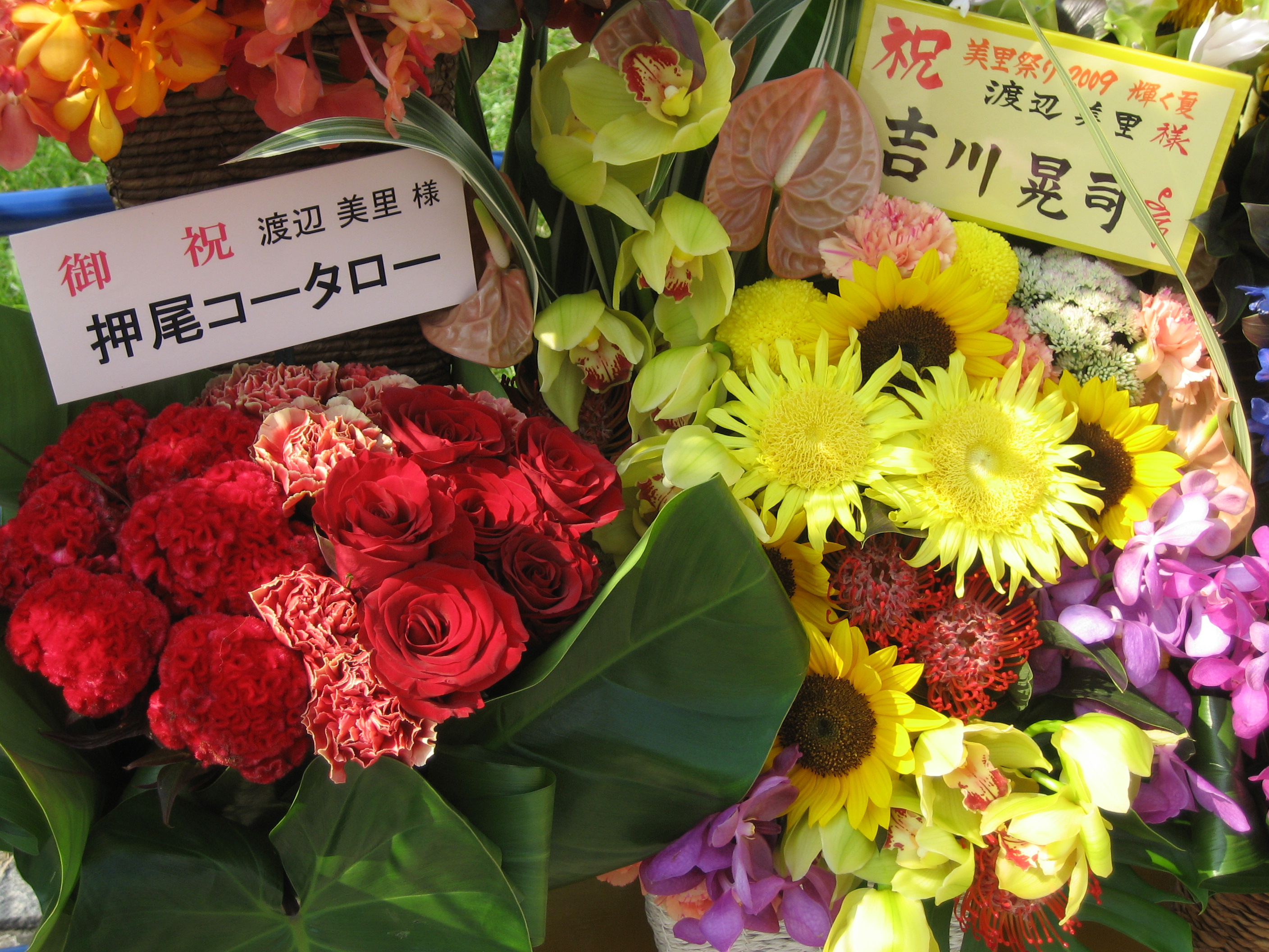 おかえり、てっちゃん＆渡辺美里「美里祭り2009 輝く夏」＠横浜