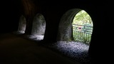 DSC_0593s