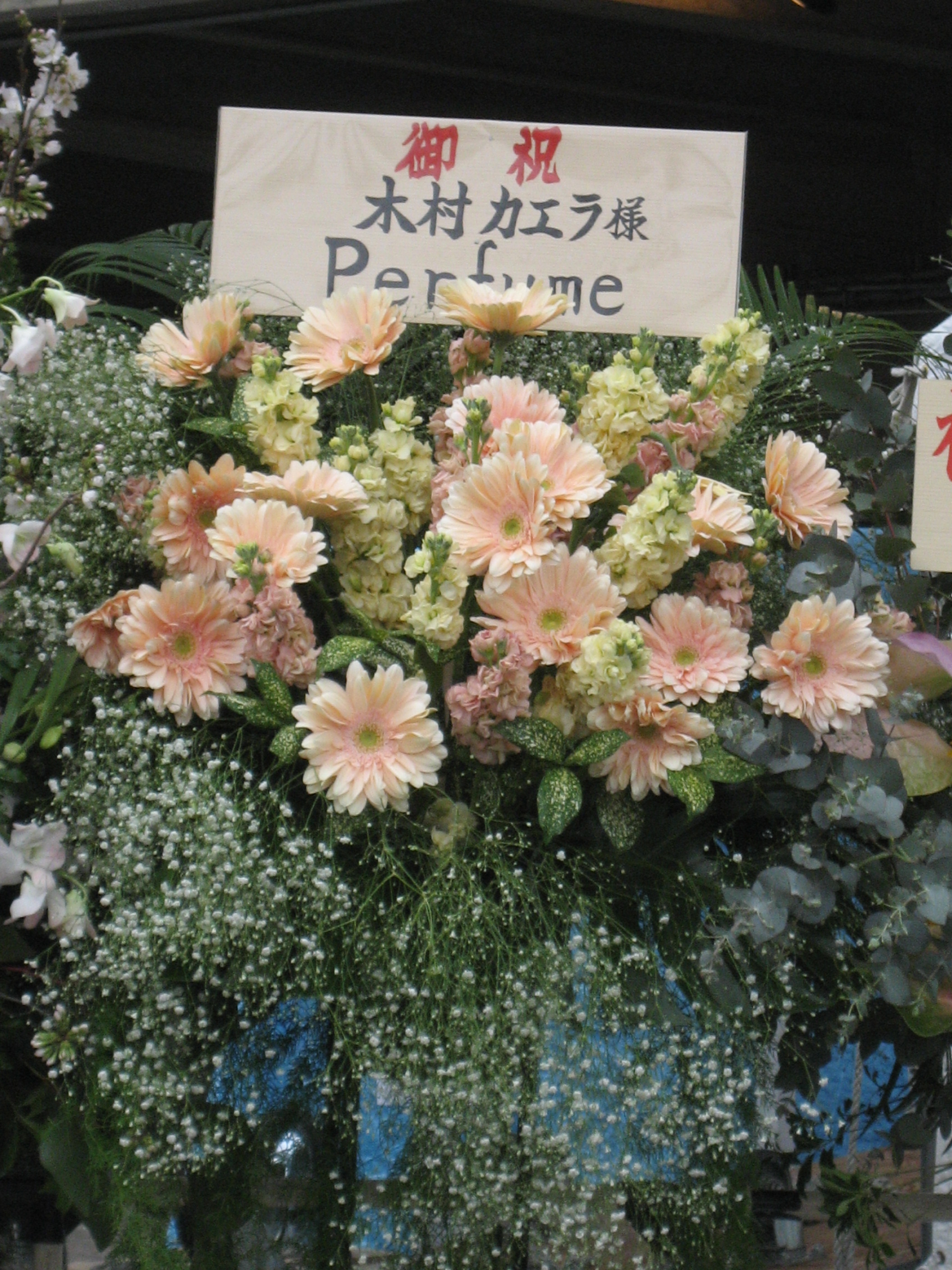 木村カエラ LIVE TOUR 2010”5years”!＠日本武道館（3/28）【前編