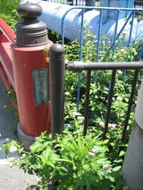 IMG_1388s