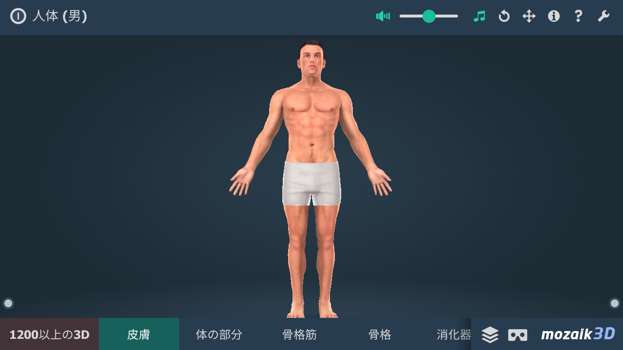 人体 男 インタラクティブな教育用3d 骨格や筋肉 血管系などモードを切り替えられる3d人体モデル Android Square