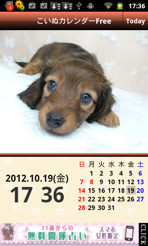アプリ こいぬカレンダーfree 子犬カレンダー 写真がかわいい卓上カレンダータイプ Android Square