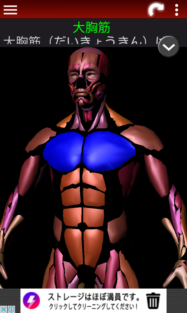 筋肉系3d 解剖学 完全無料の筋肉3dフィギュア Android Square
