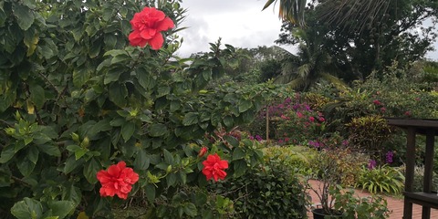 IMG_20210106_115806