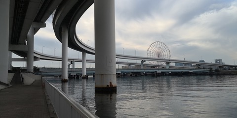 IMG_20201108_074557