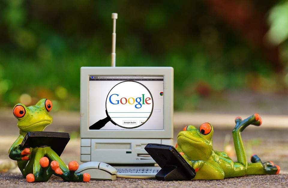 frogs-1037868_960_720_compressed