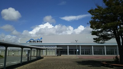 DSC_1633