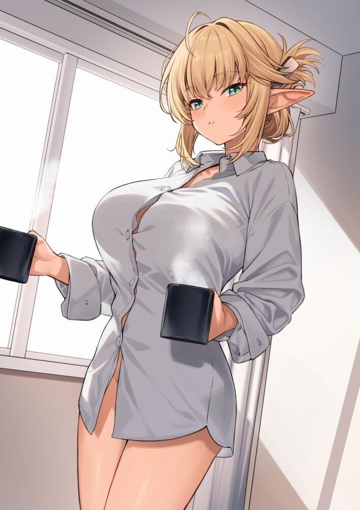 二次元 - 【二次】エルフ画像まとめ、耳長美少女が可愛すぎる件ｗｗｗ
