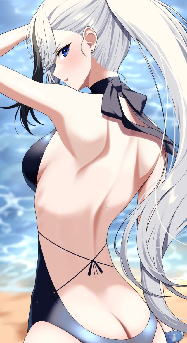 二次元 - 【二次】銀髪女子しか勝たんｗｗ可愛すぎる画像まとめ