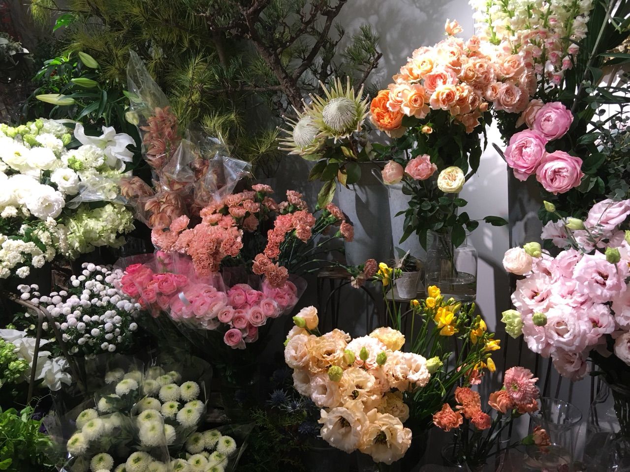 お正月のお花を買いに素敵なお花屋さんへ行って来ました カシミアニットブランド Naoco S Blog Naoco S Day By Day お正月のお花を買いに素敵なお花屋さんへ行って来ました カシミアニットブランド Naoco S Blog Naoco S Day By Day