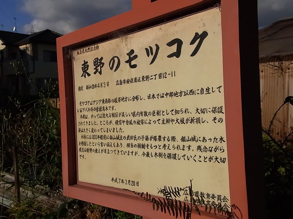 斜め補正機能 あんぱんのcx2 Life