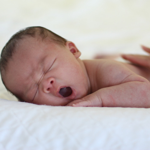 卵子publicdomainq-0031982sgjjdw