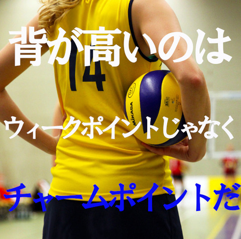 バレーボール2publicdomainq-0030857qxcbmv