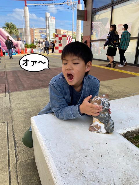 IMG_9017-fotor-20241231215937