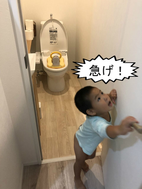 どーすれば、トイレにちゃんと行くようになるんやろか。。。