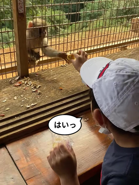 【３】ポケモンと猿に会いに京都へ！！