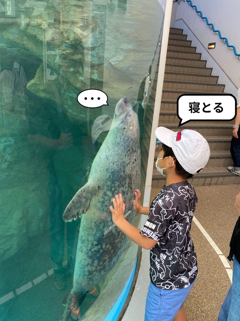 IMG_3222-fotor-20231105152055