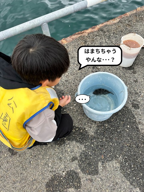 IMG_7448-fotor-20241017224358