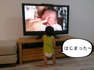 赤ちゃんは赤ちゃんが好き？？　「かんさい情報ネット ten」の『めばえ』が大好き！