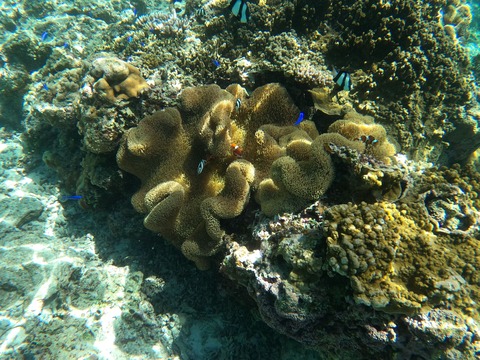 GOPR0359-fotor-20230911152744