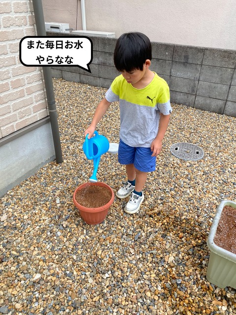 IMG_1812-fotor-2023071295053