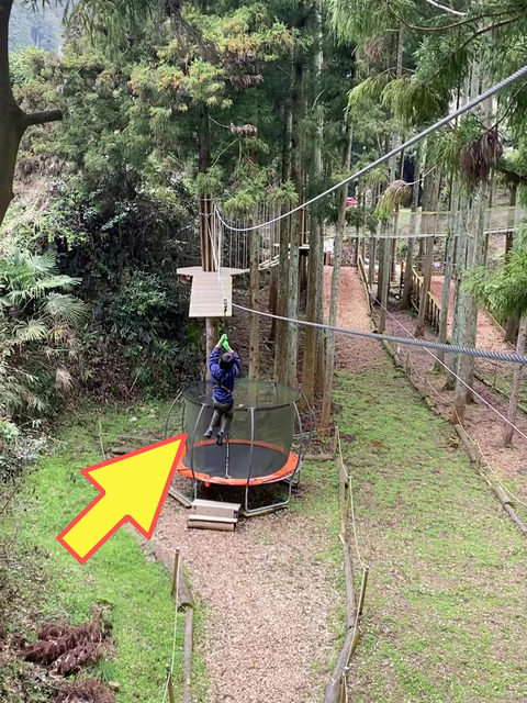 【２完】３つめのフォレストアドベンチャーへ！