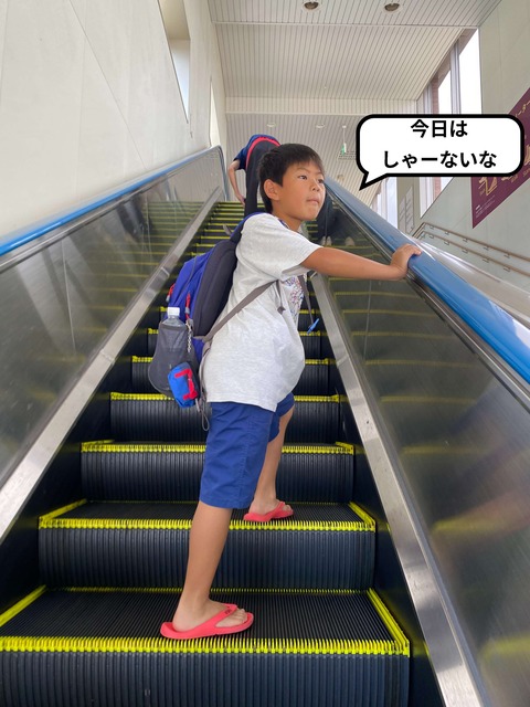 阪神戦を見に初めての甲子園球場！