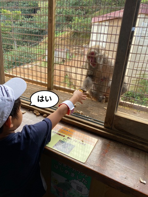 IMG_3152-fotor-20231101202432