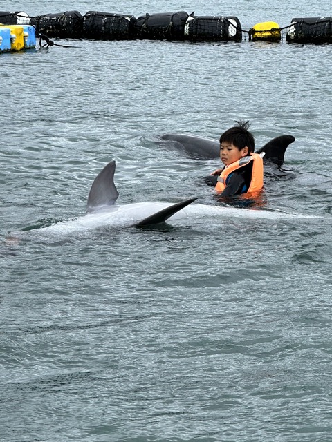 IMG_7281-fotor-20241014163413