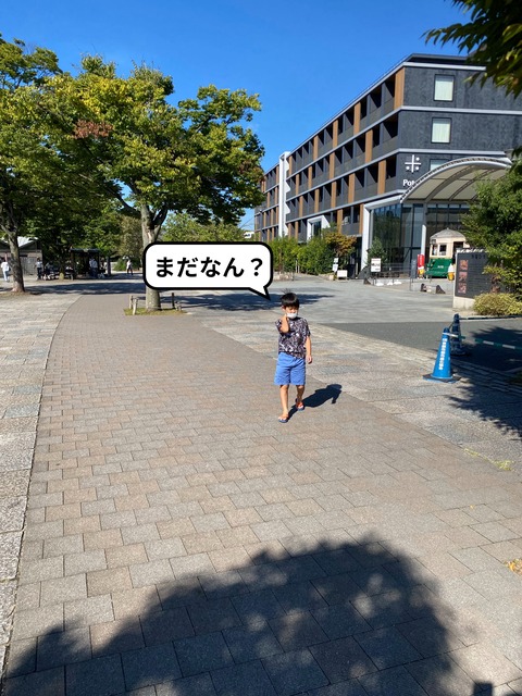 IMG_3212-fotor-20231105152357