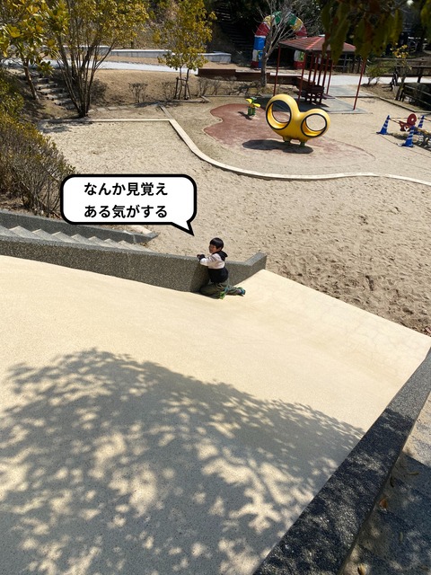 IMG_2578-fotor-2025031121337