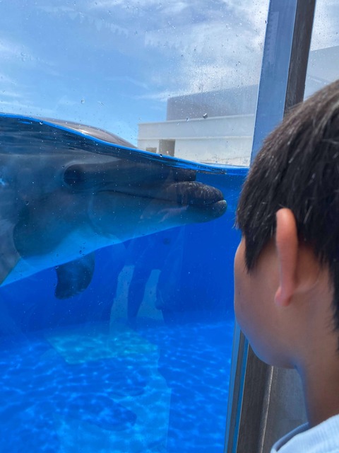 IMG_7328-fotor-2025080215747