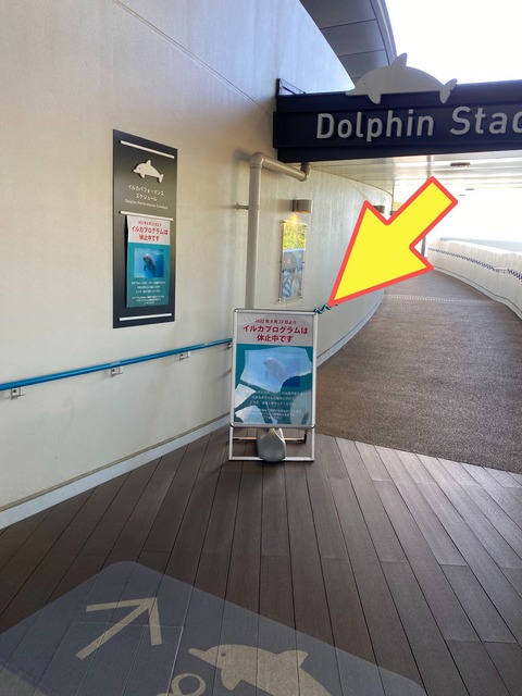 IMG_3233-fotor-20231105152211