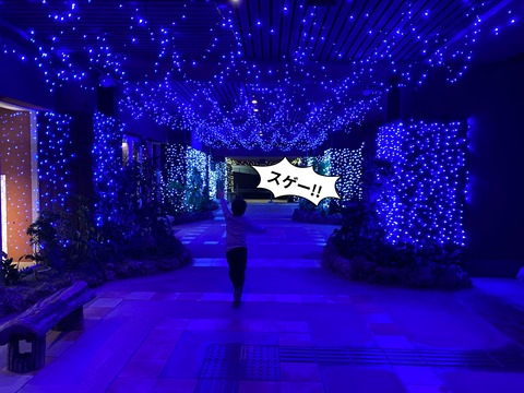 【３】お正月旅行！ 初めての冬の沖縄へ！　朝のビーチ散歩編