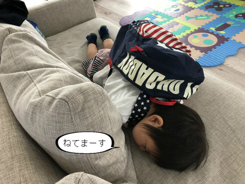 いまひとつ、喜んでない感じ。