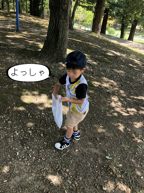 出来れば置いて帰りたい、どんぐり拾い！