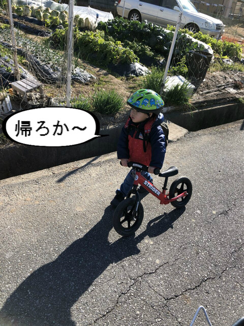 何でまた、その順番で脱ぐんやろか・・・。