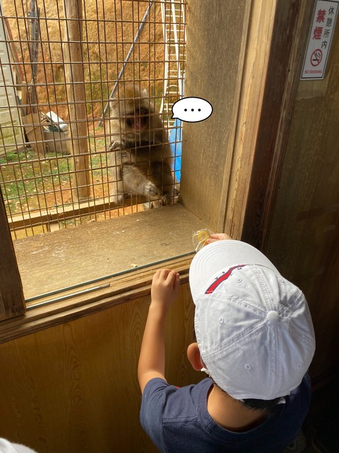 IMG_3129-fotor-2023110120300