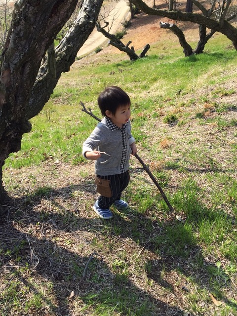 冒険には棒が必要！