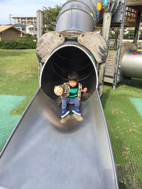 子供の電車好きって、分かれるよな～