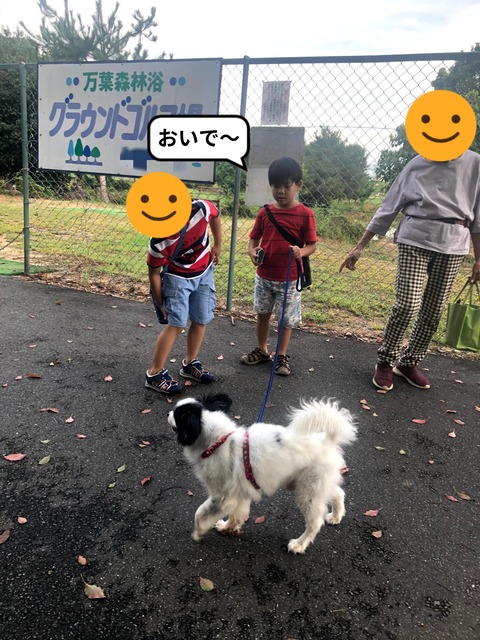 やってみたくなる。 犬の散歩！