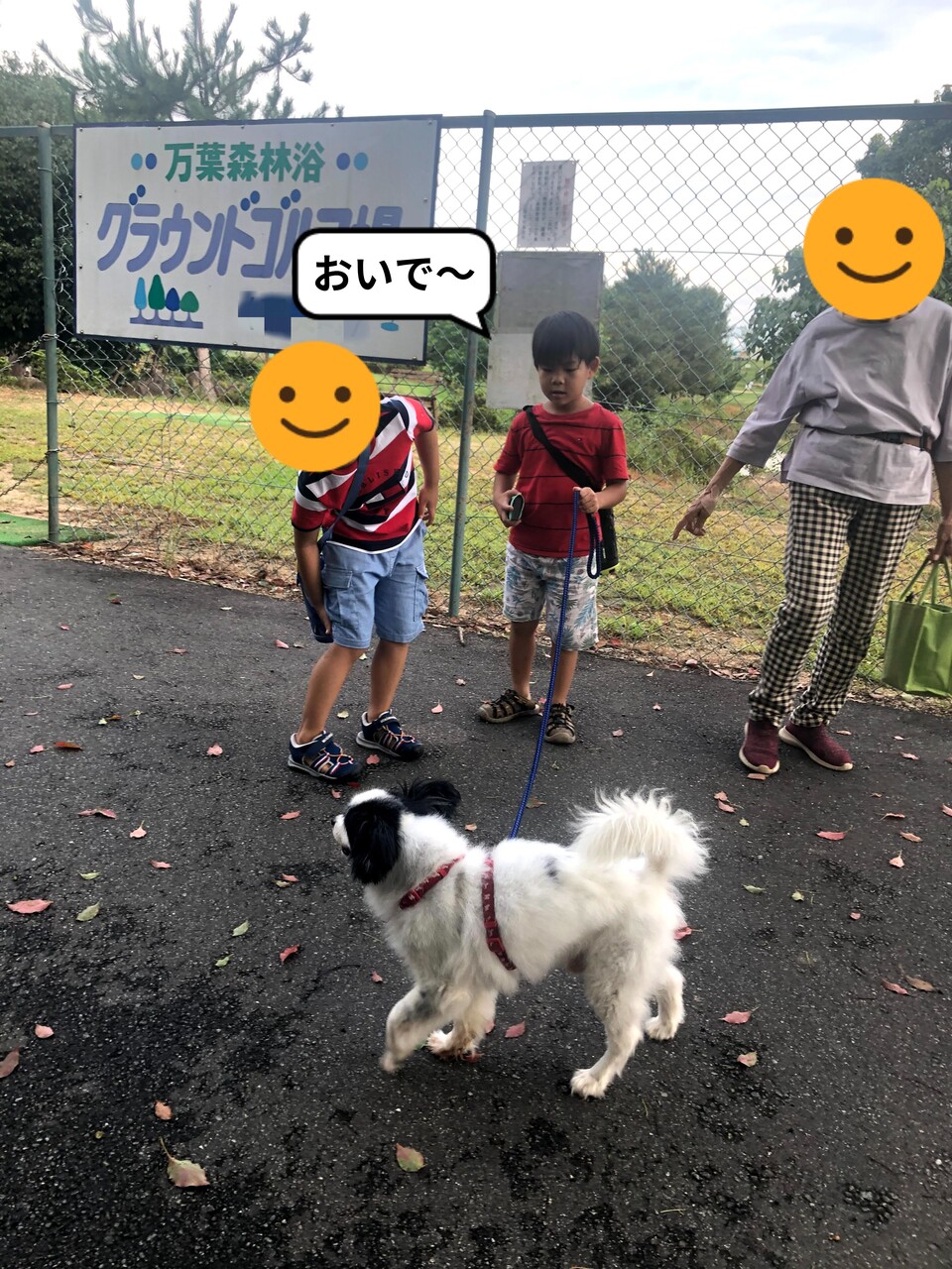 やってみたくなる 犬の散歩 とおちゃんと はっちゃん
