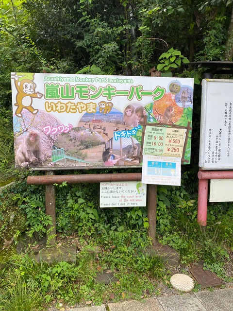 IMG_3109-fotor-20231101201911