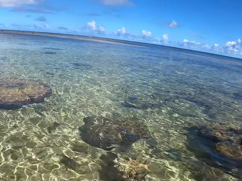 GH010470 - frame at 1m26s-fotor-2024080521166