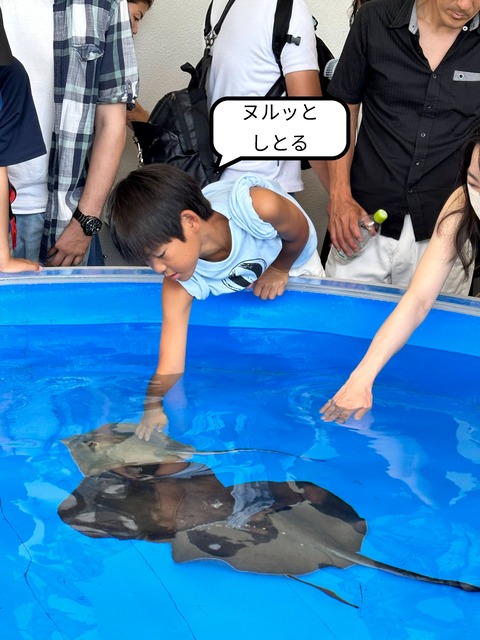 IMG_2177-fotor-2025080215421