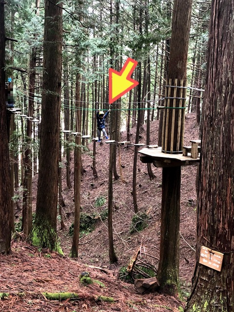 フォレストアドベンチャーでジップラインにチャレンジ！　③完