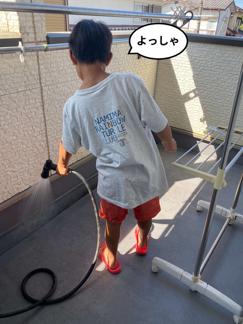 年に一度のベランダ掃除は結局･･･