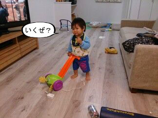 はっちゃんの、新しい掃除機。