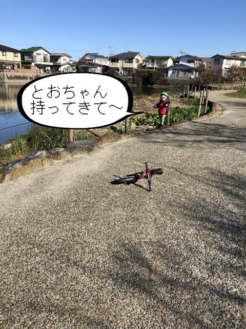 羨ましい！　自由過ぎる生き方。