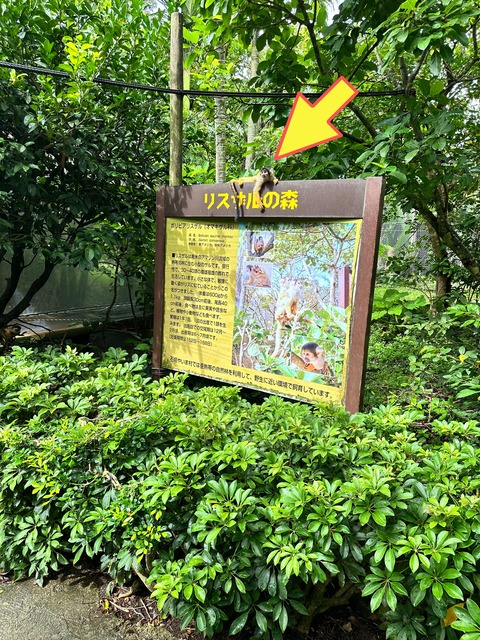 IMG_5442-fotor-20240813203149